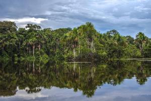 Tambopata - Protecting eight different types of Amazon forest ecosystem